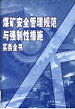 煤矿安全管理规范与强制性措施实务全书 第4册