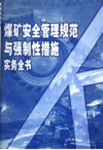 煤矿安全管理规范与强制性措施实务全书 第3册