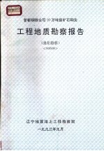 首都钢铁公司20万吨级矿石码头 工程地质勘察报告 选址勘察 H9309