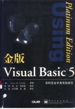 金版Visual Basic5