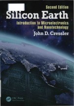 silicon earth introduction to the microelectronics and nanotechnology second edition