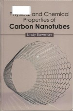 physical and chemical properties of carbon nanotubes