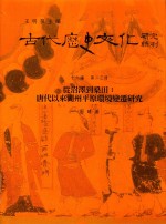 古代历史文化研究辑刊 十六编 第23册 从沼泽到桑田：唐代以来湖州平原环境变迁研究