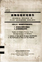 植物检疫研究报告 侵染大豆、桑的烟草坏死病毒研究