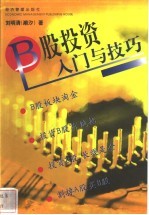 B股投资入门与技巧