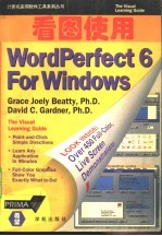 看图使用WordPerfect 6 for Windows