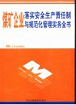 煤矿企业落实安全生产责任制与规范化管理实务全书