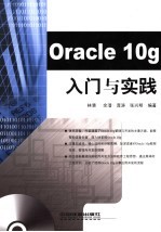 Oracle 10g入门与实践