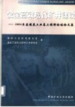 安全高效现代矿井建设 2004 年度煤炭工业总工程师论坛论文集