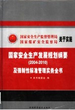 国家安全生产发展规划纲要及强制性标准管理实务全书 第4卷