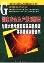 国家安全生产规划纲要与重大危险源监控及应急救援体系建设实务全书 第4卷