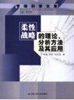 柔性战略的理论、分析方法及其应用