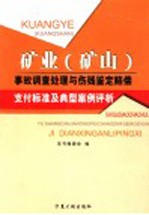 矿业 矿山 事故调查处理与伤残鉴定赔偿支付标准及典型案例评析 第1卷