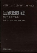 煤矿技术大百科 煤矿开采技术卷 上