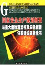 国家安全生产规划纲要与重大危险源监控及应急救援体系建设实务全书 第2卷