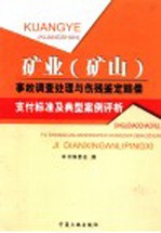 矿业 矿山 事故调查处理与伤残鉴定赔偿支付标准及典型案例评析 第3卷