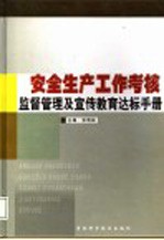 安全生产工作考核监督管理及宣传教育达标手册 第2卷