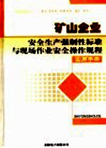 矿山企业安全生产强制性标准与现场作业安全操作规程实用手册 2