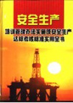 安全生产培训管理办法实施及安全生产达标考核标准实用全书  第2卷