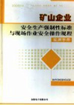 矿山企业安全生产强制性标准与现场作业安全操作规程实用手册 4