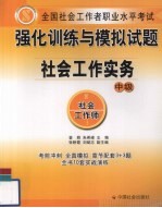 全国社会工作者职业水平考试强化训练与模拟试题  社会工作实务  中级