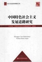 中国特色社会主义发展道路研究