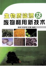 生物质能源及废物利用新技术