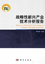 战略性新兴产业技术分析报告