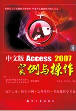 中文版Access 2007实例与操作