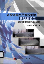 多股多层水平淹没射流新型消能工 理论与数值模拟研究及工程应用