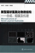 新型层状氢氧化物微结构 合成、组装及机理