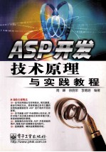 ASP开发技术原理与实践教程