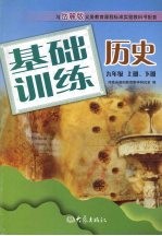 基础训练历史 九年级 （上册、下册）