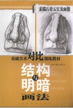 素描石膏五官及面像结构与明暗画法