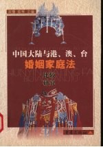 中国大陆与港、澳、台婚姻家庭法比较研究