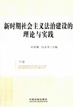 新时期社会主义法治建设的理论与实践 下