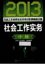 2013社会工作者职业水平考试配套模拟试卷 社会工作实务 中级