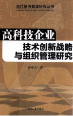 高科技企业技术创新战略与组织管理研究