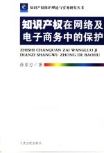 知识产权在网络及电子商务中的保护