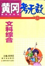 黄冈考无敌  新高考实战  文科综合