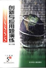 创新与应用题演练 初二代数