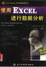 使用Microsoft Excel进行数据分析