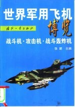 世界军用飞机博览 战斗机·攻击机·战斗轰炸机