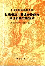 甘肃省正宁县综合治理与经济发展战略规划