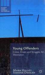 YOUNG OFFENDERS CRIME