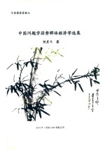 斗室苍茫吾独立 中国问题学·弱势群体经济学选集