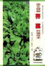 图文精解荠菜种植技术