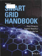 Smart grid handbook (Volume 2)