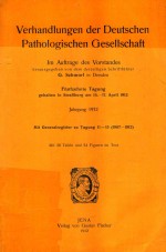 VERHANDLUNGEN DER DEUTSCHEN PATHOLOGISCHEN GESELLSCHAFT FUNFZEHNTE TAGUNG