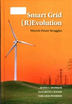 Smart grid (r)evolution electric power struggles